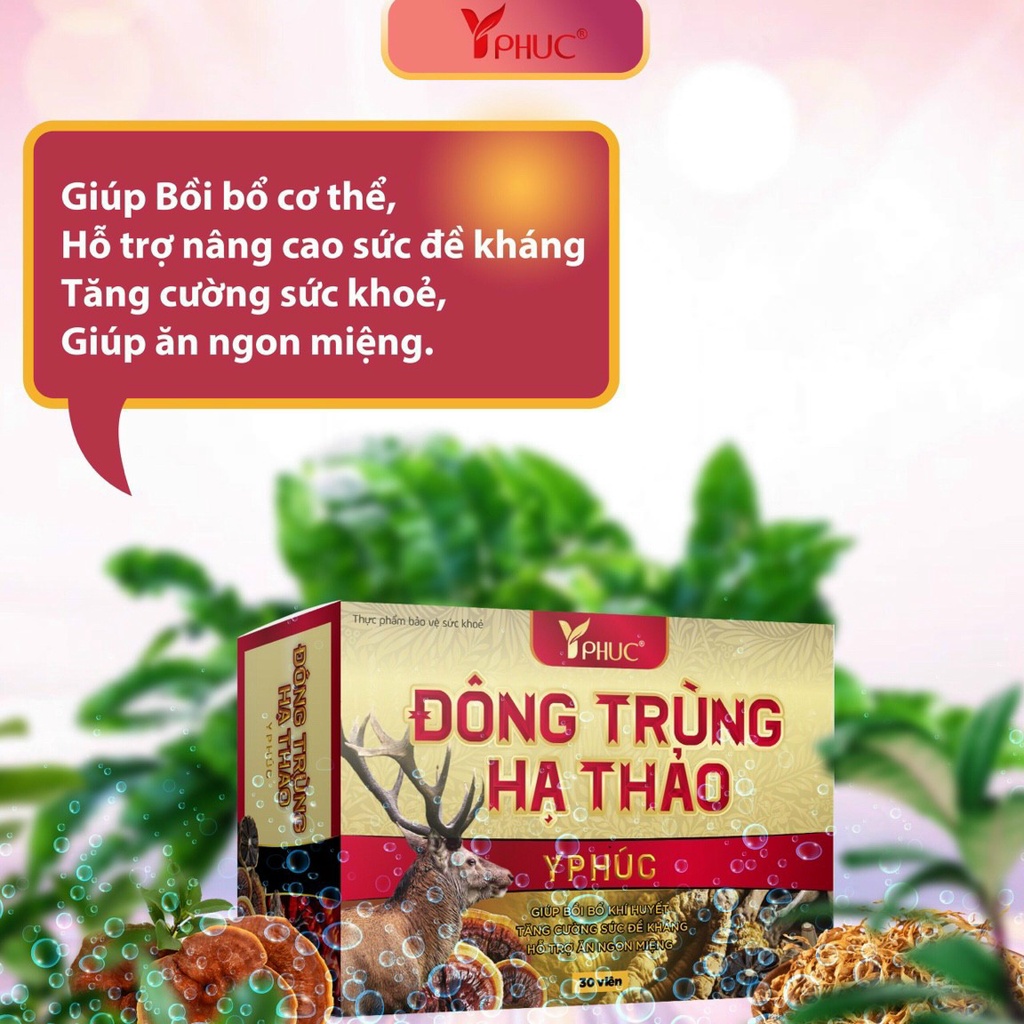 Đông Trùng Hạ Thảo Y Phúc Hộp 30 viên giúp  ăn ngon, ngủ tốt, bồi bổ khí huyết, phục hồi sức khoẻ.