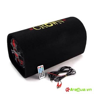 Loa crown cỡ 10 có bluetooth -13975