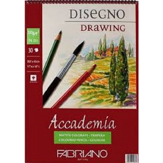 Sổ vẽ Fabriano Disegno Drawing (200gsm 30 sheets) Accademia [ Sugi art shop]