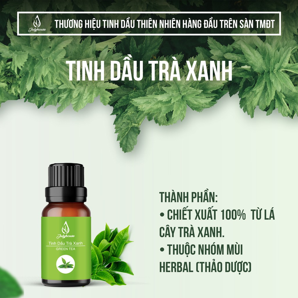 Tinh dầu Trà Xanh thơm phòng, giảm căng thẳng Julyhouse 10ml