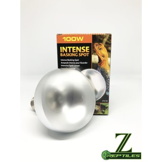 Đèn UVA  Intense sưởi ấm 100W dành cho bò sát sa mạc