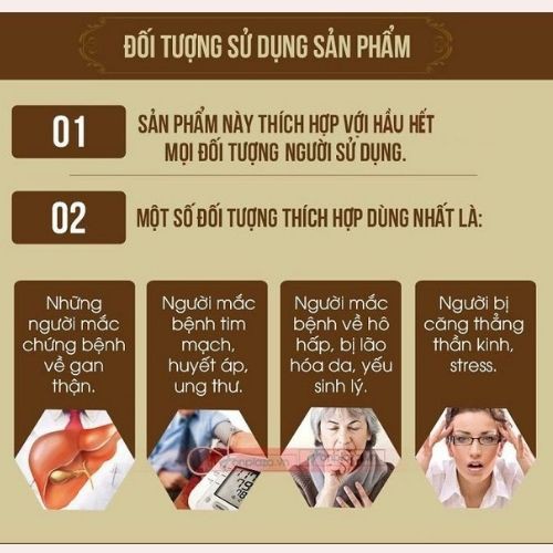 Đông trùng hạ thảo khô nguyên con Đông y gia truyền Thông Cát - Bồi bổ cơ thể, tăng sức đề kháng, miễn dịch, vitamin