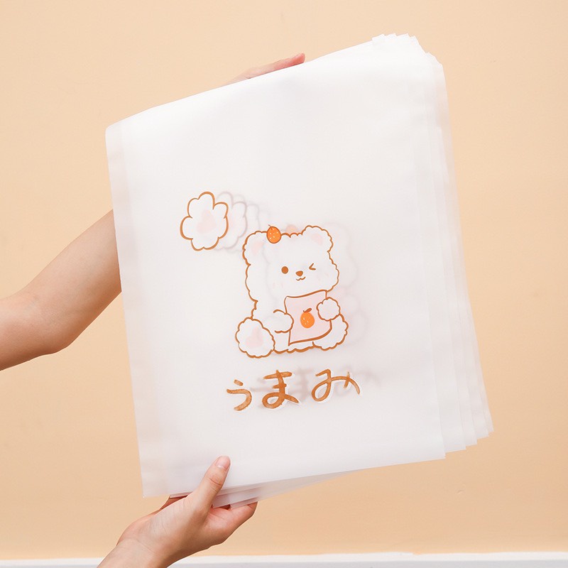 TÚI ZIP ĐỰNG QUẦN ÁO, ĐỒ SƠ SINH, DU LỊCH