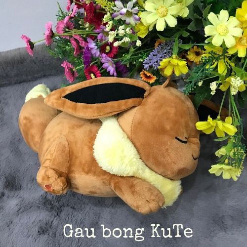 Gấu bông - Eevee nằm ngủ