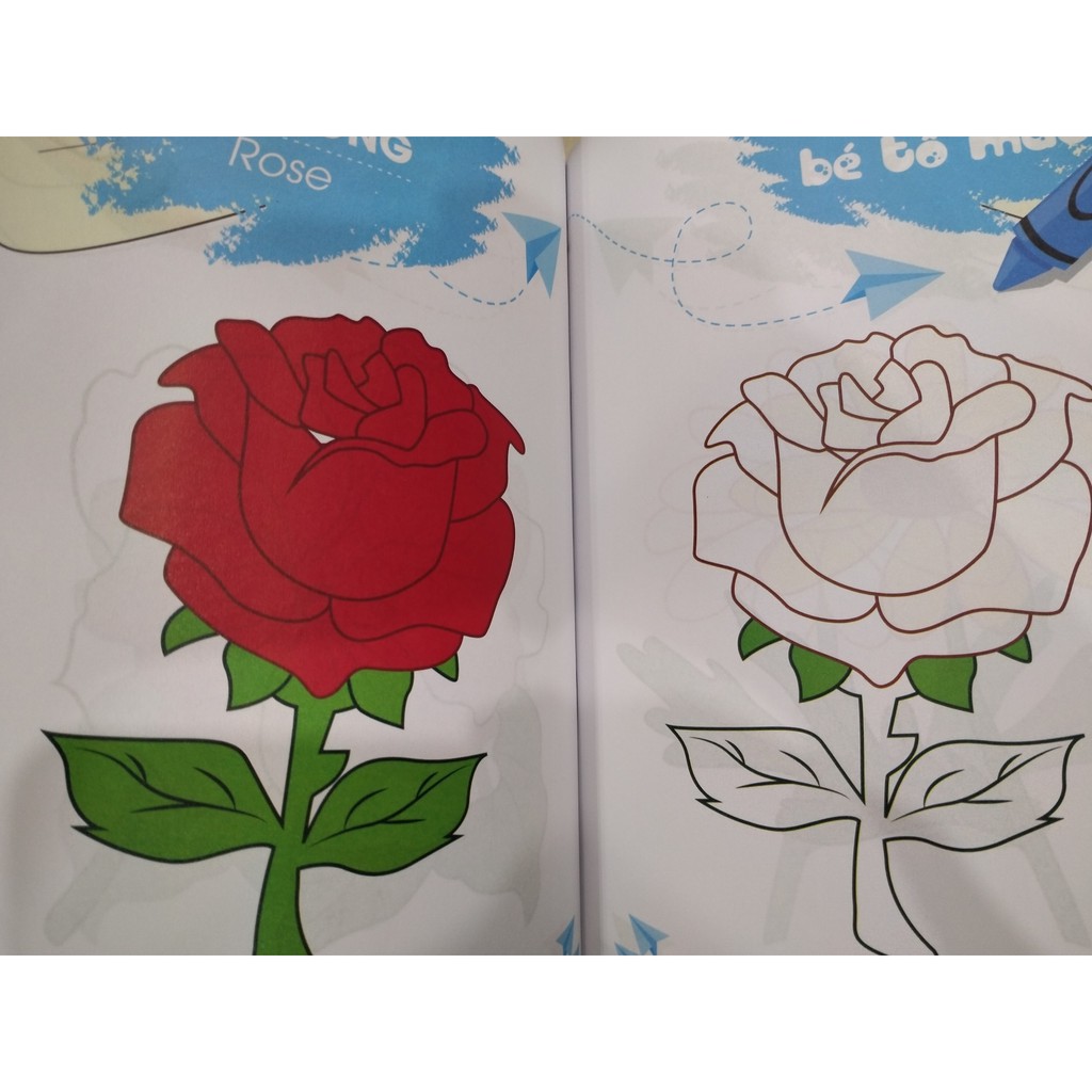 Sách - Bé tô màu ( theo chủ đề )