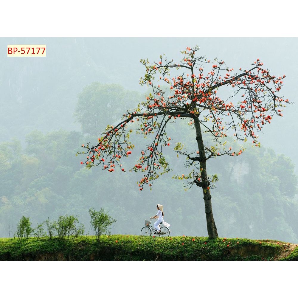 Tranh dán tường Vịnh Hạ Long, vùng biển, thuyền Việt Nam 3D CAM KẾT 100% VẢI LỤA 3D Tranh in lỗi đổi trả miễn phí.