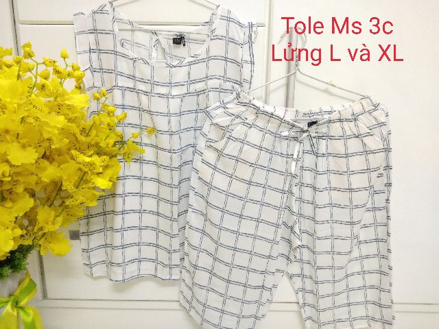 Đo mặc nhà big size hàng xuất forever 21