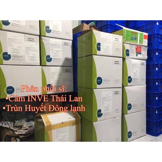 Cám INVE 5/8 chiếc lẽ 100gr