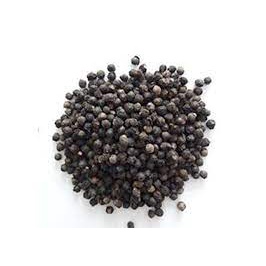 Hạt giống mồng tơi lá to sinh trưởng mạnh,năng suất cao