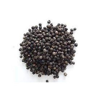 Hạt Giống Mồng Tơi