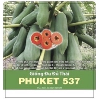 Hạt giống đu đủ thái phuket