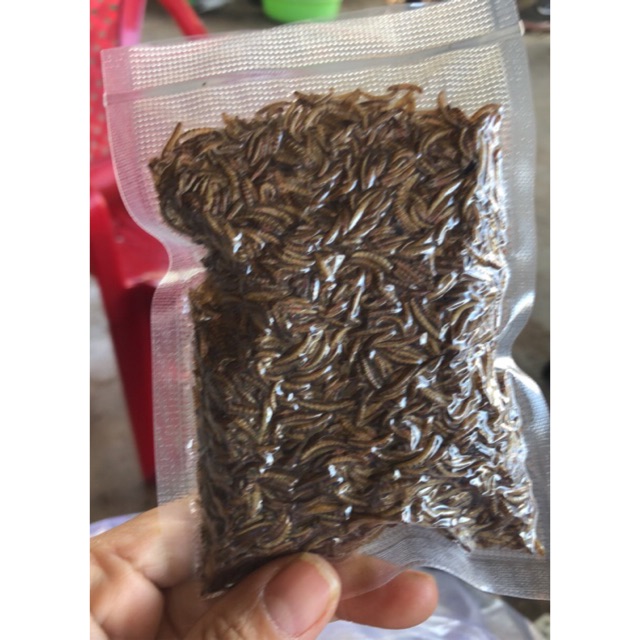 Sâu khô dành cho chim, hamster, sóc....