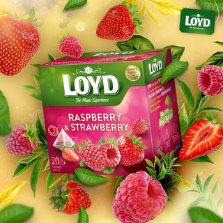 Trà Túi Lọc Loyd Vị Warm Raspberry 40g