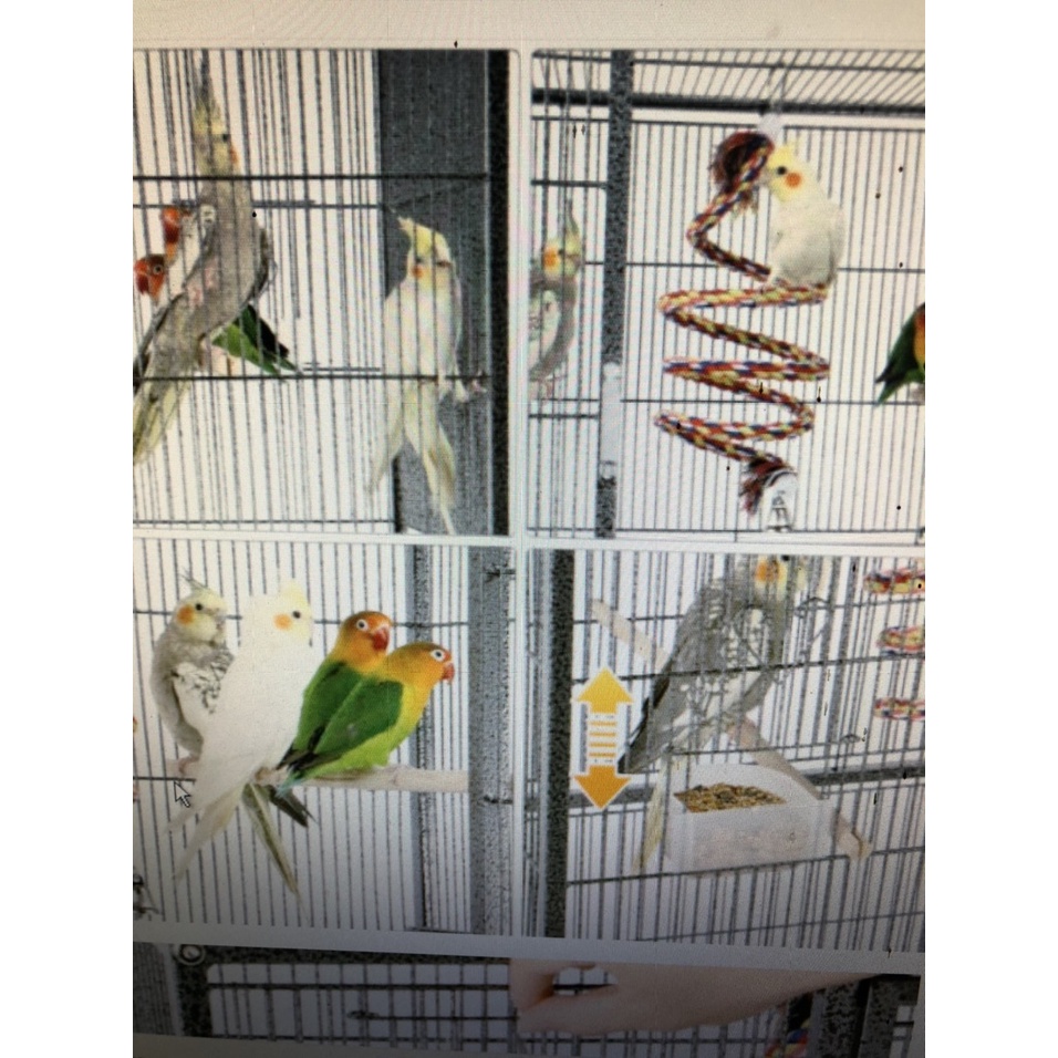 Chuồng vẹt size TO dùng cho vẹt  và finch , chà