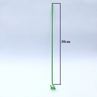 Set 10 que nẹp chậu dài 30cm
