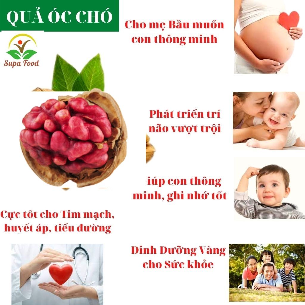 Nhân Óc Chó Đỏ  Hartley Mỹ - Hạt ÓC CHÓ ĐỎ MỸ Chính Hãng Nhập Khẩu Loại Ngon, Nhân To Giòn - OneFood68