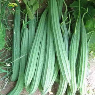 EMIC Chế phẩm EM ủ phân hữu cơ 200g329