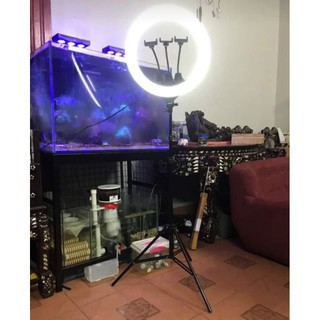 [SIZE 36cm]Đèn Livetream (đầy đủ cả chân đèn và kẹp) .Hỗ trợ ánh sáng Chụp Ảnh, Make Up Trang Điểm. Đèn quay trực tuyến