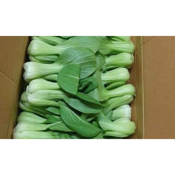 Hạt Giống CẢI THÌA LAI F1 SH105 - Gói 20Gr - SEN HỒNG