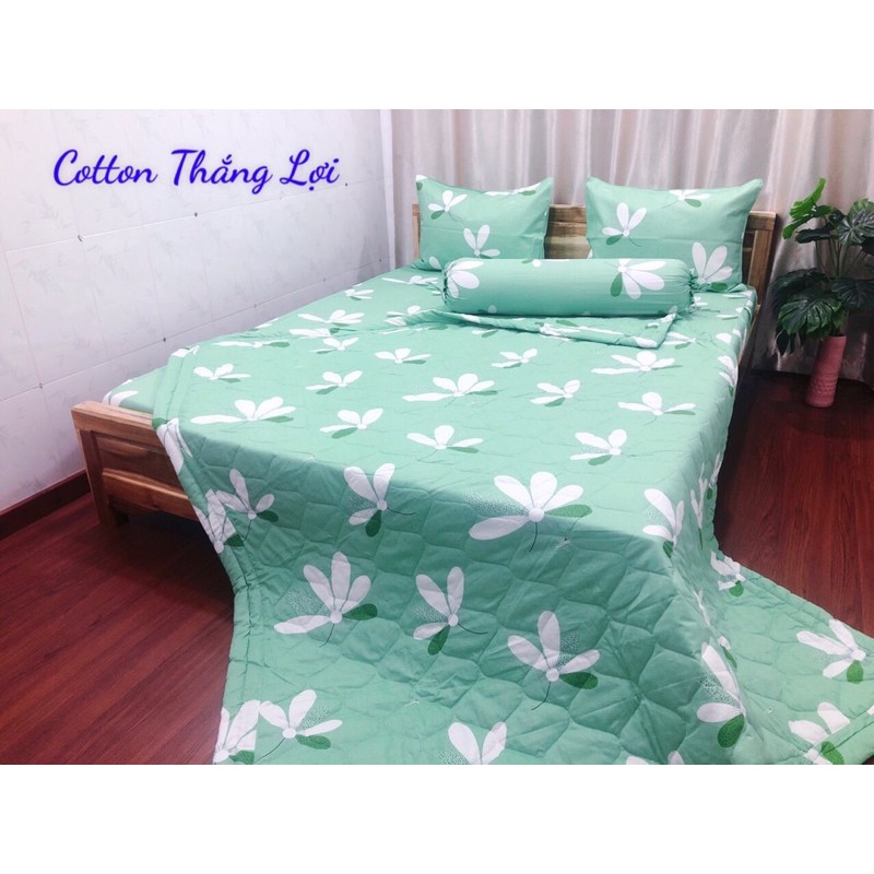 DRAP COTTON THẮNG LỢI MỚI - SỈ LẺ TQ