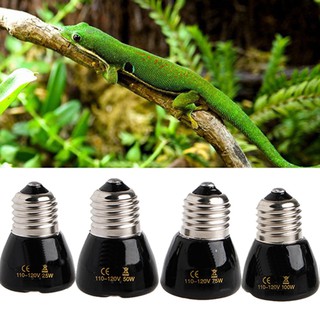 Đèn sưởi ấm cho các loài bò sát 25/50/75/100w chuyên dụng