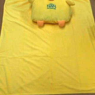 Bộ chăn gối Nan 2 in 1