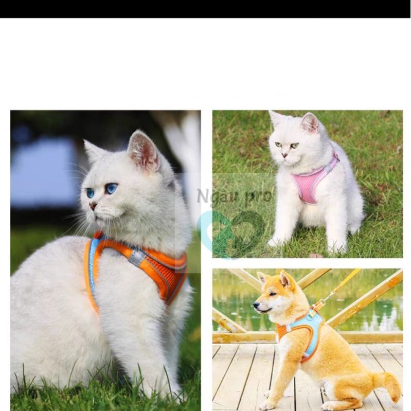 Đai yếm dắt chó mèo Hàn Quốc bán chạy số 1 - Dây dắt kèm Yếm Ngực chó bền đẹp nhiều màu sắc full size SML2XL