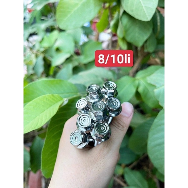 Ốc Kiểng Salaya Mẫu TBT 8-10