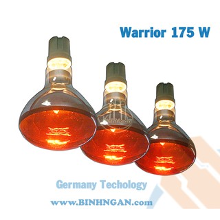 Bóng sưởi - Bóng úm gà 175W