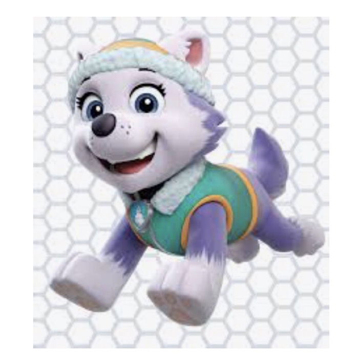 Nhân vật Everest chó cứu hộ Paw Patrol