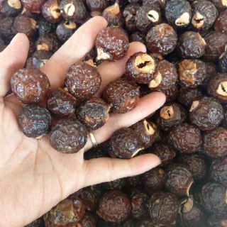 Quả bồ hòn đã tách hạt