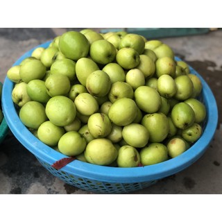 Táo lê Thái Lan siêu ngọt