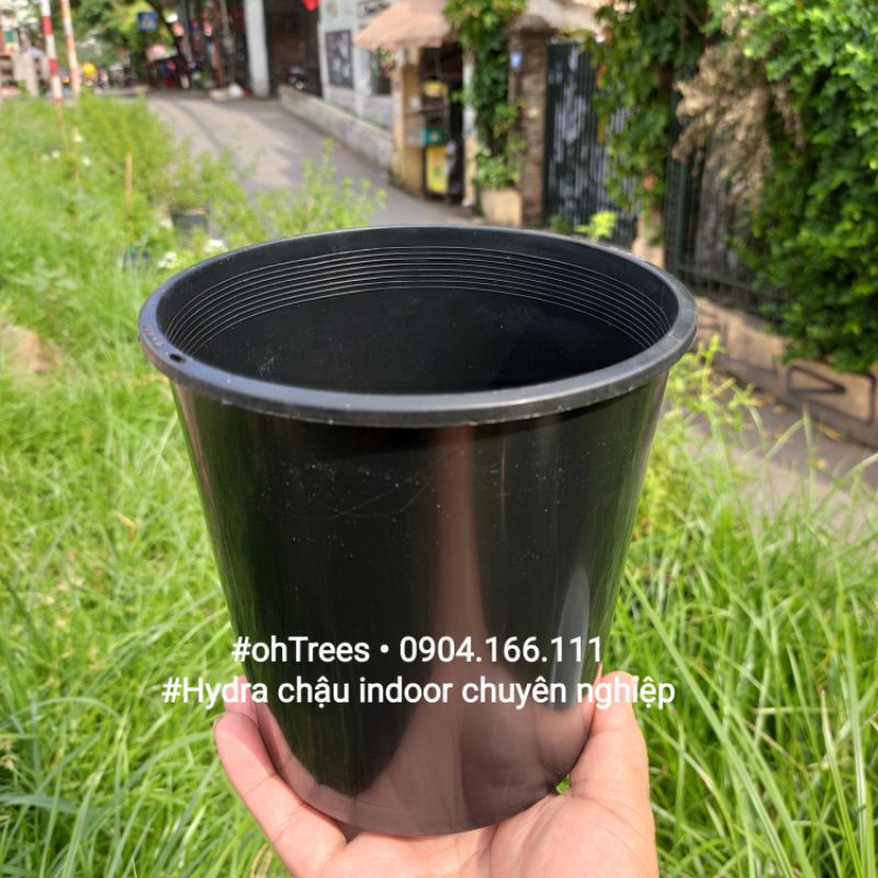 Combo 5 chậu trồng cây indoor chuyên nghiệp Hydra