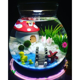 Set Marimo đèn led