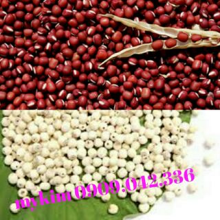 Bột đậu đỏ hạt sen 1kg