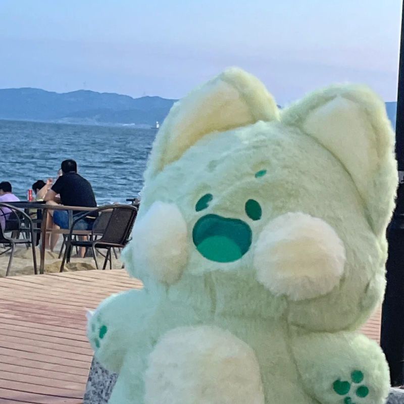 BIG Gấu bông gấu mèo racoon dudu meow má hồng dễ thương 60/90cm hot ins tiktok