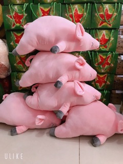 GẤU BÔNG HEO LƯỜI 50CM