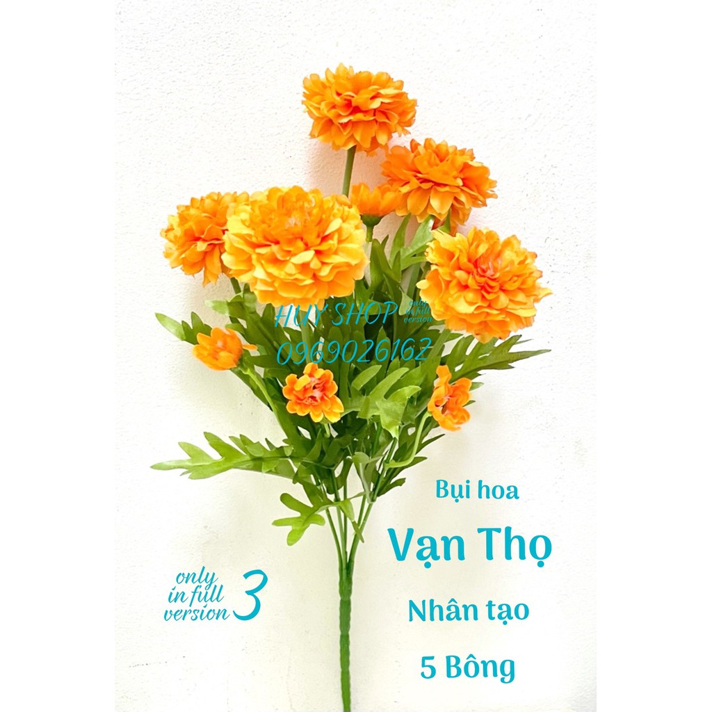 HOA GIẢ - BỤI HOA VẠN THỌ 5 BÔNG