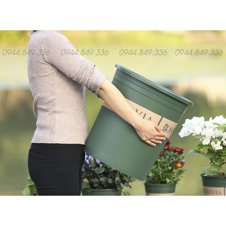 Chậu Monrovia 5GL giá sale