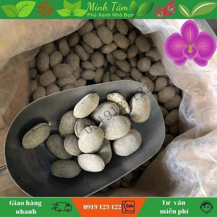 Phân Tan Chậm Hạt Bàng Nhật Nurseryace 12-6-6