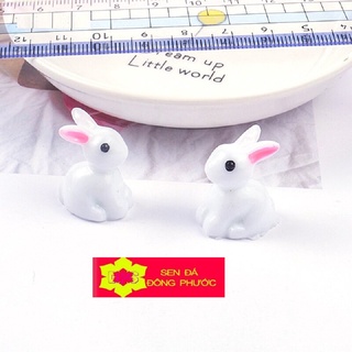 (Hot) - THỎ TRẮNG TAI HỒNG - Phụ kiện làm tiểu cảnh sen đá, xương rồng, cây văn phòng - sen đá Đông Phước