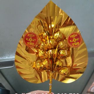 Lá Trầu - Cành Vàng Lá Ngọc