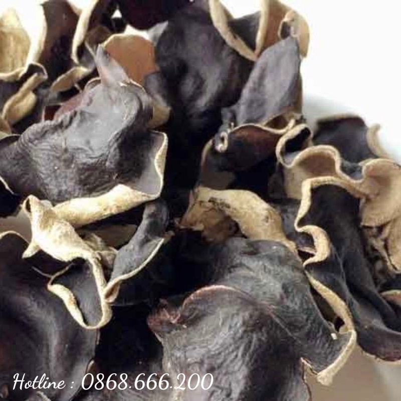 Mộc nhĩ rừng không chân, hàng loại 1, cánh to, chính hãng Cao Tuyền, 500g