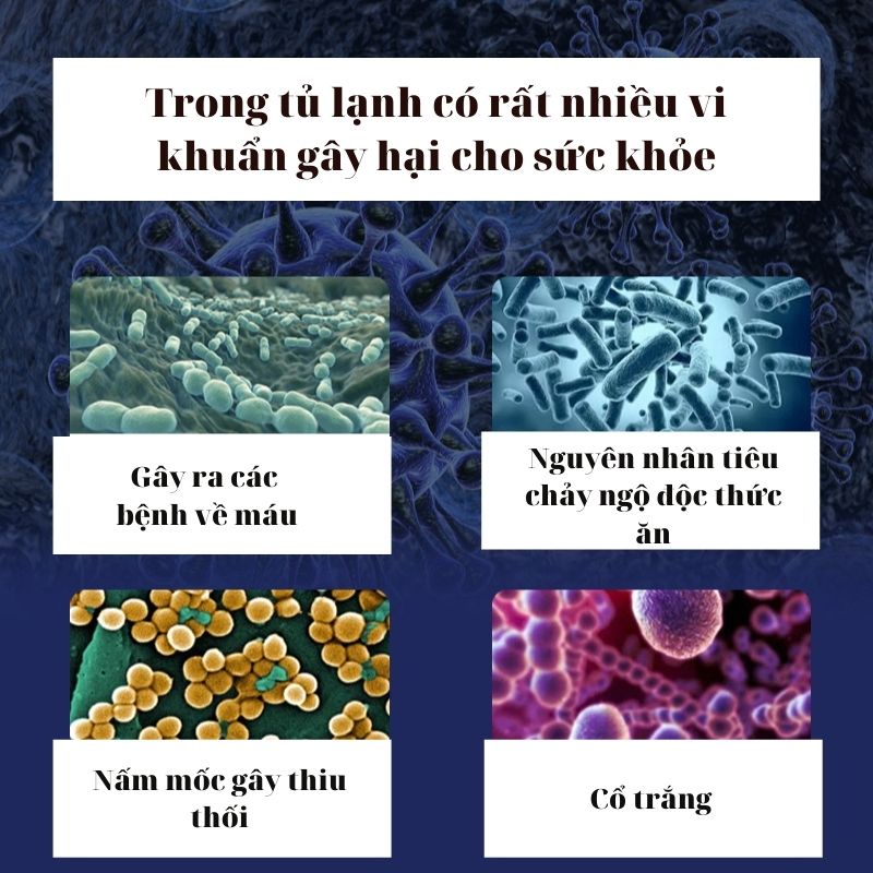 Máy Lọc Không Khí Máy Khử Mùi Diệt Khuẩn Tủ Lạnh Tích Hợp Công Nghệ Ozone