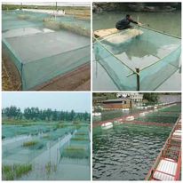 Tráng Nuôi Ốc Thủy Sản cá,lươn,trạch,ốc ,baba