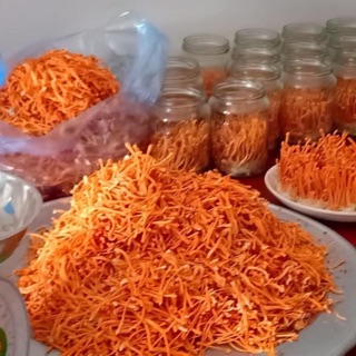Nấm đông trùng hạ thảo 1 kg
