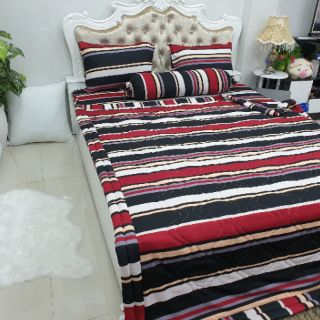 Bộ Drap Thun Thái Lan 4 món