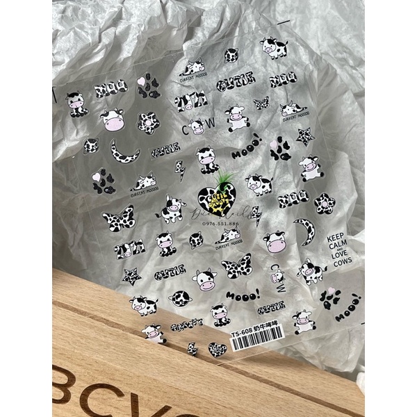 Album stick cao cấp 10