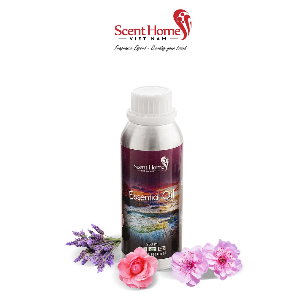 [Chính hãng] Tinh dầu Sakura - Scent Homes (Sakura - 50ml,100ml,250ml)