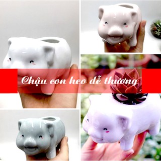 Chậu con heo men sứ dễ thương trồng cây mini để bàn